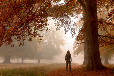 Rear view of woman standing by tree during autumn