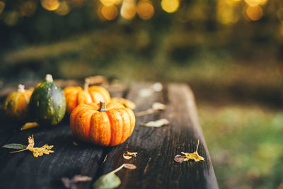 Close-up of pumpkins on table