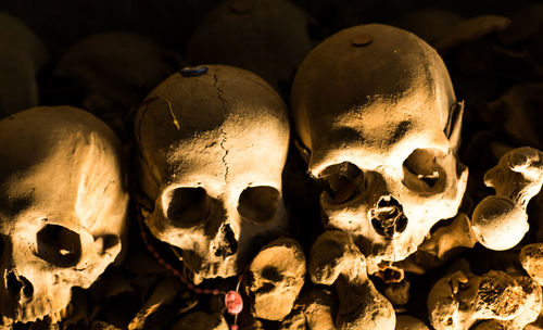 Close-up of human skulls