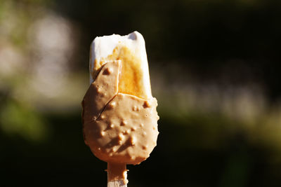 macro photography