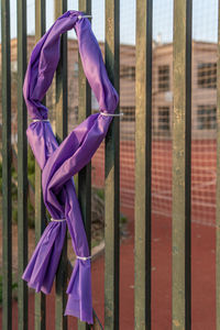 Close-up of purple hanging on fence