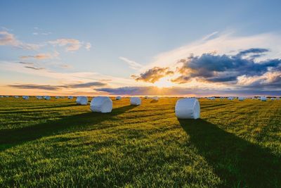 Scenic view of field against sky during sunset