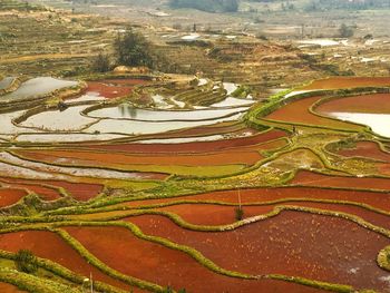 Aerial view of agricultural field