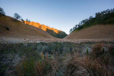 Scenic view of landscape against clear sky