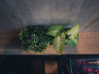 High angle view of vegetables on table