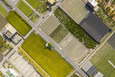 High angle view of agricultural field and buildings in city