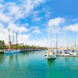 Sailboats moored in harbor against sky