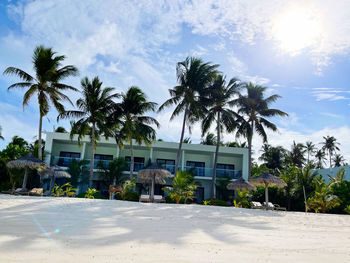 Palm trees by house against sky