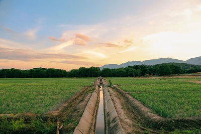 Scenic view of agricultural field against sky during sunset