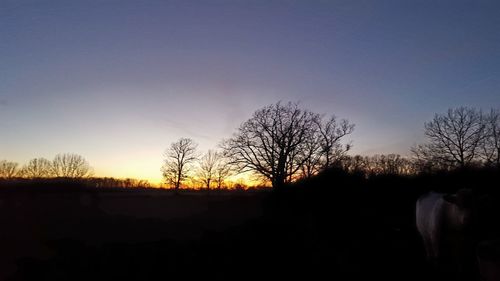 Silhouette bare trees against sky during sunset