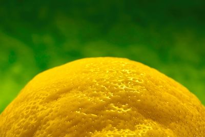 Close-up of fresh orange fruit