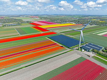 Aerial from tulipfields and a wind turbine in the netherlands in spring