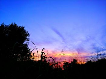 Silhouette trees on landscape against sky at sunset