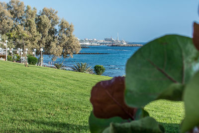Scenic view of sea against clear sky