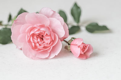 pink