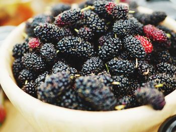 Close-up of berries