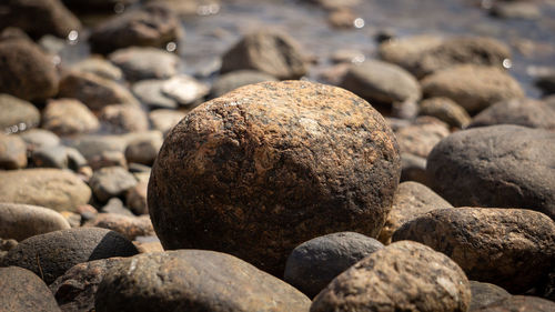 Close-up of stones on rocks