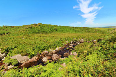 Scenic view of land against sky