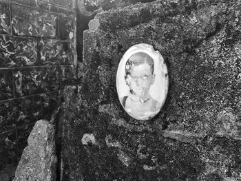 Close-up high angle view of leaf