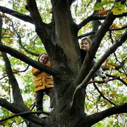 Portrait of smiling boy with tree trunk