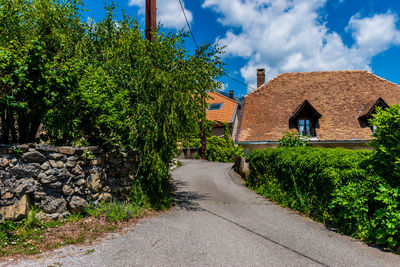 Footpath amidst trees and buildings against sky