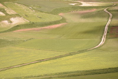 High angle view of agricultural field