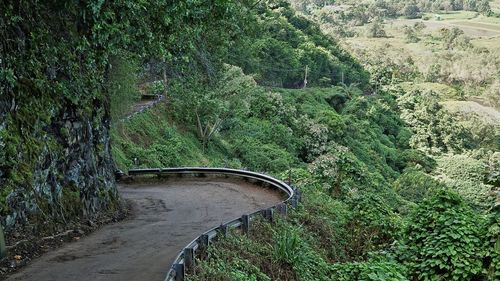 High angle view of bridge in forest