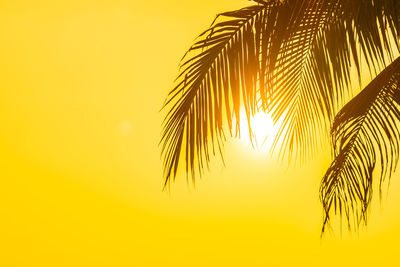 Low angle view of palm tree against orange sky