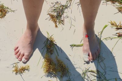 Low section of woman standing on beach