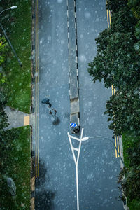 High angle view of road amidst trees