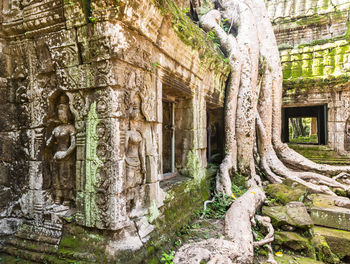 View of buddha statue