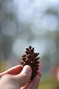 Close-up of person holding hand