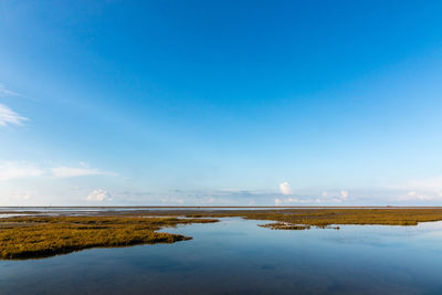 Scenic view of landscape against blue sky