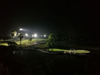 Illuminated trees against sky at night