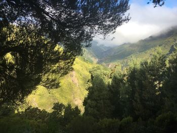 Scenic view of trees and mountains against sky