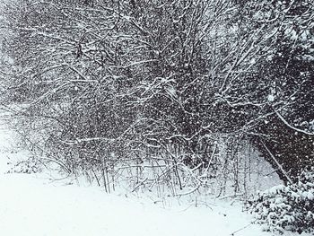 Aerial view of snow covered field