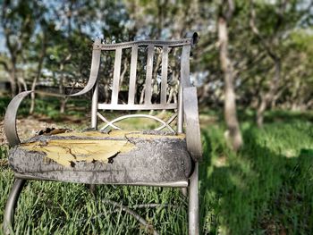 Empty chair on field against trees