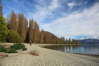 Scenic view of lake by trees against sky