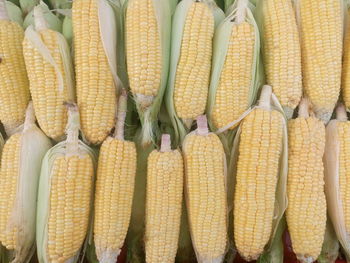 Directly above shot of corns for sale at market