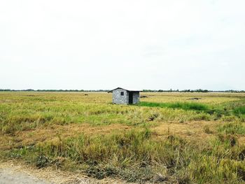 View of grassy field against sky