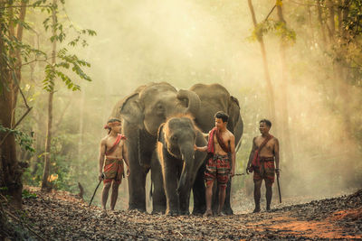 Group of people in forest