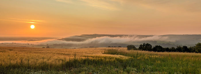 Scenic view of field against sky during sunrise. amberley. west sussex. 