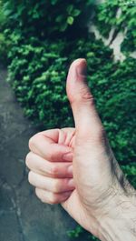 Close-up of cropped hand