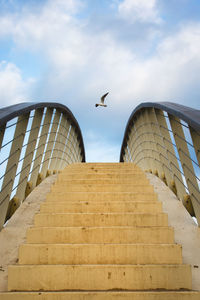 Low angle view of seagull flying over steps against sky