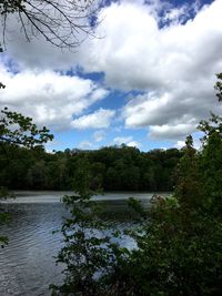 Scenic view of lake in forest against sky