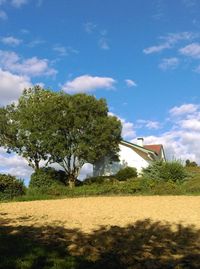 Trees and plants growing on field against sky