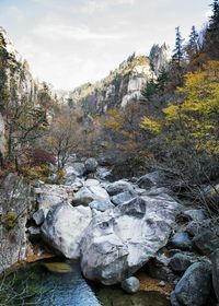 River flowing through rocks