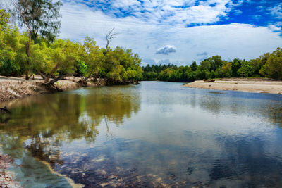 Scenic view of lake in forest against sky