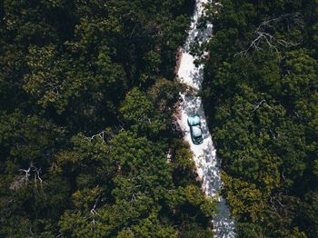 High angle view of car on road amidst trees in forest