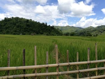 Scenic view of field against sky